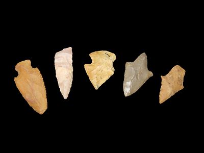 Lot of 5 Woodland Arrowheads