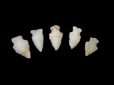Lot of 5 Quartz Arrowheads, Charles County, Missouri