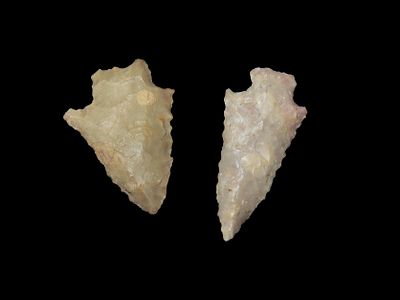 Lot of Two Archaic Arrowheads