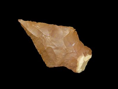1 7/8" Oakalla Arrowhead, Mid Archaic Period