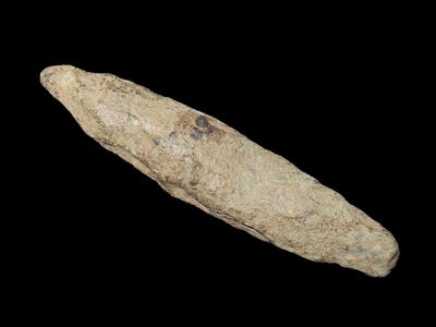 3 3/4" Lancelot Arrowhead, Discovery location unknown