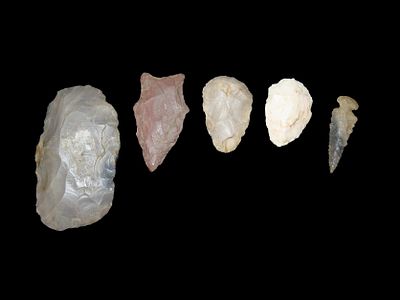 Lot of 5 Miscellaneous Arrowheads, Found in Kentucky