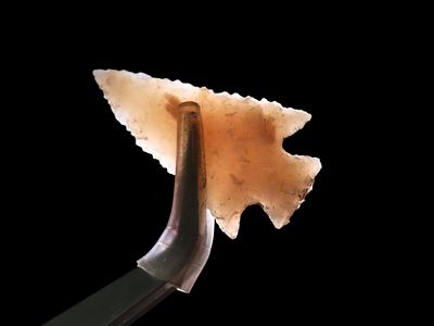 1 1/2" Nice Transcluent Scallon Arrowhead, 13,00-500, For Identification See Overstreet 10th 