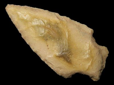 1 5/8" Swan Lake, North Carolina, 2500-2000 B.P., For Identification Reference Overstreet 10th 