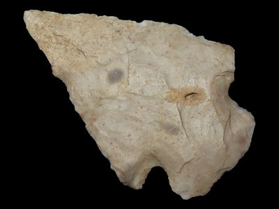 2" 1/8 Castroville, 4000-1500 B.P.