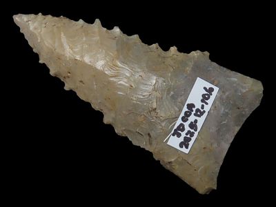 2 1/2" Cocklebur Dalton, Dickey COA, Cross County, Arkansas, Penters Chert, Found by Steve 