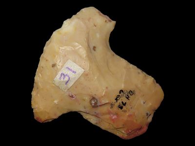 1 3/4" Dickson Scraper, Adams County, IL, Payson Chert, Ex. D.H. Havlin