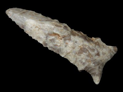 2"1/2 Dalton Style Birdpoint, Western States