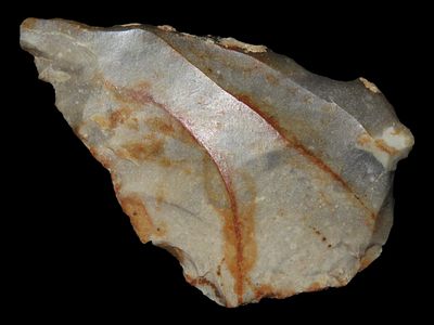 2 7/8" x 1 3/4" x 1/2" Levallois Arrowhead. Gray prepared core. Belgium.