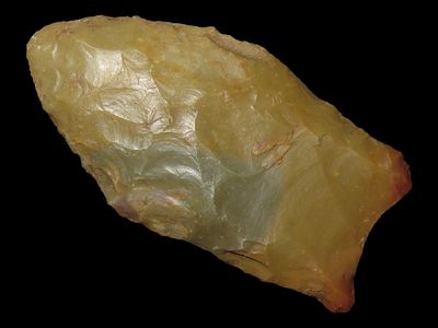 1 11/16" x 7/8" x 1/4" Pelican Arrowhead, Found by The Graham Brothers on their farm in 