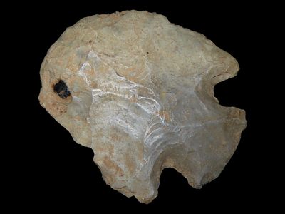 2 5/16" x 1 7/8" x 5/16" Snyders (converted to a scraper) Grey Flint. Doniphan Co., KS by Fenn 