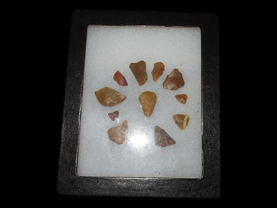 5 1/2" x 4 1/2" Ricker Frame Chips And Bird Arrowheads