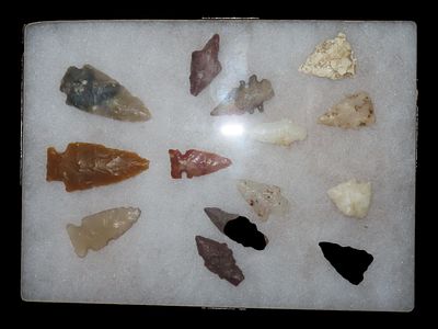 6" x 8" Ricker Frame of Westeern Bird Arrowheads From Western States Made agate Quartz and 