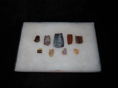 12" x 8" Ricker Frame of Outstanding Heart Breakers Paleo Arrowheads Plus Folsum Made of Many 