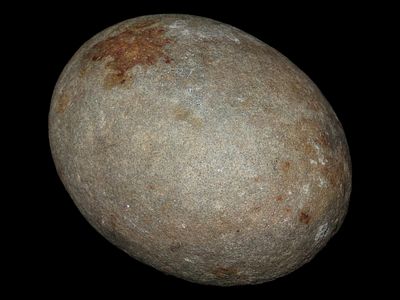 6 1/4" Egg Shaped Stone Artifact, Missouri