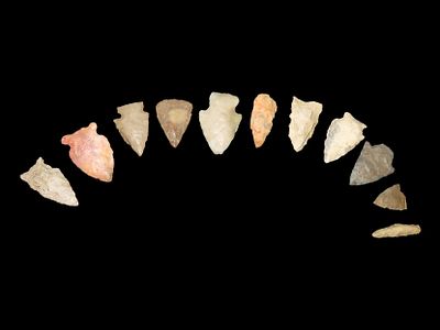 Lot of Nice Common Arrowheads