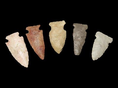 LOt of 5 Nice Woodland And Archaic Arrowheads