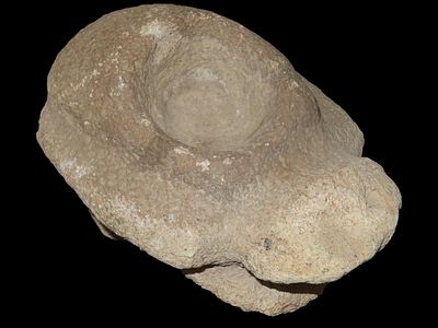 7 3/4" x4" x 5" Mississippian Turtle Effigy Grinding Bowl, Basalt material, found in 
