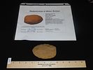 4" x 2 5/8" Cache Blade, Motley / Leithoff COA, Central Wisconsin, Made of Hixton Quartz, Light Image - 10