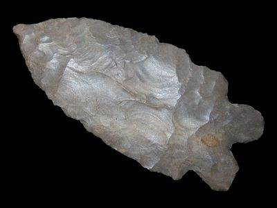 2 15/16" x 1 1/4" Lecroy, Dickey COA, Found in Arkansas, Made of Ft. Payne Chert