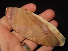 4 1/16" x 1 9/16" Thonotosassa, Dickey COA, Found Near Tampa, Florida, Ex. Michael Gorgas Image - 2