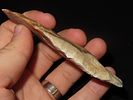 4 1/16" x 1 9/16" Thonotosassa, Dickey COA, Found Near Tampa, Florida, Ex. Michael Gorgas Image - 3