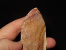 4 1/16" x 1 9/16" Thonotosassa, Dickey COA, Found Near Tampa, Florida, Ex. Michael Gorgas Image - 6