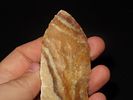 4 1/16" x 1 9/16" Thonotosassa, Dickey COA, Found Near Tampa, Florida, Ex. Michael Gorgas Image - 7