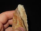 4 1/16" x 1 9/16" Thonotosassa, Dickey COA, Found Near Tampa, Florida, Ex. Michael Gorgas Image - 8