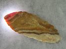 4 1/16" x 1 9/16" Thonotosassa, Dickey COA, Found Near Tampa, Florida, Ex. Michael Gorgas Image - 11