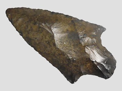 3 1/8" x 1 5/8" Newnan, Dickey COA, Found in Suwanee Florida, Found by Brett Stewart, Made of 