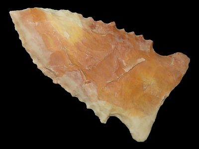 2 1/8" x 1 3/16" Stillwell, Dickey COA, Found in TN / Kentucky Area, Made of a Creek Stained Chert