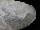 10 5/16" x 4 7/8" Spade, Made of Mill Creek Chert, Keele COA, Ex. Chester Wright CollectionImage - 8