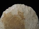 10 5/16" x 4 7/8" Spade, Made of Mill Creek Chert, Keele COA, Ex. Chester Wright CollectionImage - 10