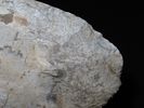 10 5/16" x 4 7/8" Spade, Made of Mill Creek Chert, Keele COA, Ex. Chester Wright CollectionImage - 13