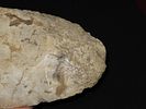 10 5/16" x 4 7/8" Spade, Made of Mill Creek Chert, Keele COA, Ex. Chester Wright CollectionImage - 15