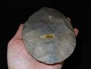 7 1/16" x 4" Cache Blade, Found in TN, Motley / Leithoff COA, Made of CobdenImage - 5