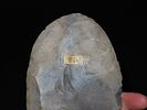 7 1/16" x 4" Cache Blade, Found in TN, Motley / Leithoff COA, Made of CobdenImage - 9