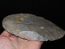 7 1/16" x 4" Cache Blade, Found in TN, Motley / Leithoff COA, Made of CobdenImage - 12