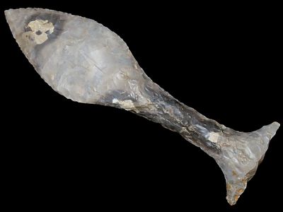9 1/2" x 2 5/8" Neolithic Dagger, Found in Denmark, Motley COA, Made of Gray Chert, Light 