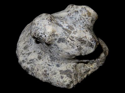 2 3/4" x 2 1/16" Popeye Bust Birdstone. Lorain Co. Ohio. Porphyry Granite. Comes with a Roy 