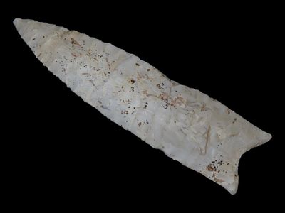 5 3/4" x 1 1/2" Sloan Dalton, Motley / Leithoff COA, Found in Pike County, Illinois, Ex. Logan 