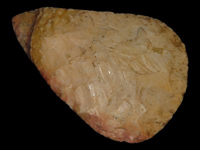 4 3/16" x 2 7/8" North Blade (Snyder's Pre From), Dickey COA, Found in Missouri / Illinois Area 