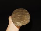 15 7/16" x 4 7/8" Mill Creek Chert Spade, Motley / Leithoff COA, Found in St. Clair County Image - 2