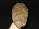 15 7/16" x 4 7/8" Mill Creek Chert Spade, Motley / Leithoff COA, Found in St. Clair County Image - 3