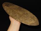 15 7/16" x 4 7/8" Mill Creek Chert Spade, Motley / Leithoff COA, Found in St. Clair County Image - 8