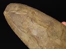 15 7/16" x 4 7/8" Mill Creek Chert Spade, Motley / Leithoff COA, Found in St. Clair County Image - 9