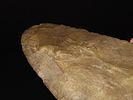 15 7/16" x 4 7/8" Mill Creek Chert Spade, Motley / Leithoff COA, Found in St. Clair County Image - 19