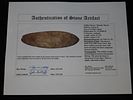 15 7/16" x 4 7/8" Mill Creek Chert Spade, Motley / Leithoff COA, Found in St. Clair County Image - 21