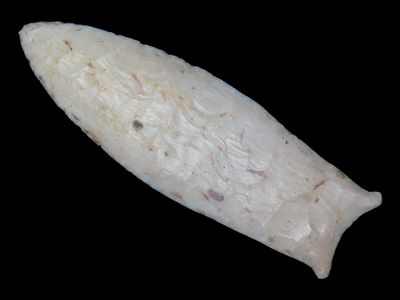 4" x 1 5/6" Pike County / Beaver Lake, 2X COA, Dickey COA, Motley / Leithoff COA, Found in 